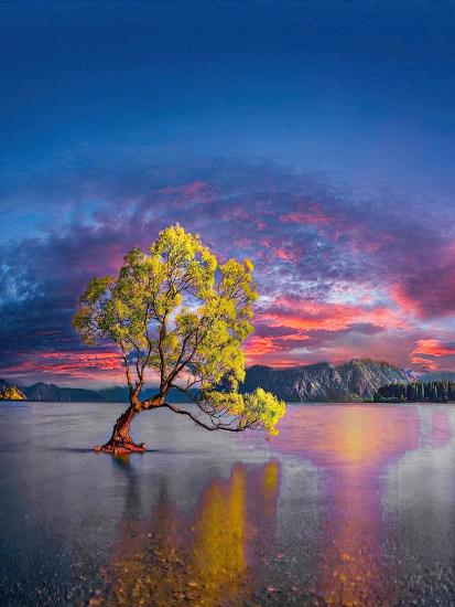 Premium Photographic Print, , large