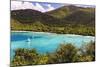 Maho Bay, Virgin Island National Park, St John, USVI-George Oze-Mounted Photographic Print