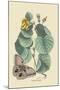 Maho Tree and Moth-Mark Catesby-Mounted Art Print