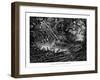 Mahogany Tree Logging, Guatemala, 19th Century-Edouard Riou-Framed Giclee Print