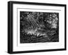 Mahogany Tree Logging, Guatemala, 19th Century-Edouard Riou-Framed Giclee Print