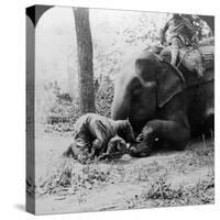 Mahout Removing a Thorn from an Elephant's Foot, Behar Tiger Shoot, India, C1900s-Underwood & Underwood-Stretched Canvas