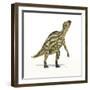 Maiasaura Dinosaur, Artwork-null-Framed Photographic Print