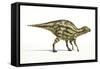 Maiasaura Dinosaur, Artwork-null-Framed Stretched Canvas