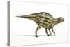 Maiasaura Dinosaur, Artwork-null-Stretched Canvas