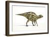 Maiasaura Dinosaur, Artwork-null-Framed Photographic Print