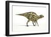 Maiasaura Dinosaur, Artwork-null-Framed Photographic Print