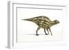 Maiasaura Dinosaur, Artwork-null-Framed Photographic Print