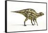 Maiasaura Dinosaur, Artwork-null-Framed Stretched Canvas