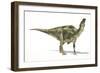 Maiasaura Dinosaur, Artwork-null-Framed Photographic Print