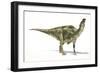 Maiasaura Dinosaur, Artwork-null-Framed Photographic Print