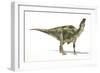 Maiasaura Dinosaur, Artwork-null-Framed Photographic Print