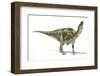 Maiasaura Dinosaur, Artwork-null-Framed Photographic Print