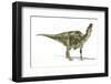 Maiasaura Dinosaur, Artwork-null-Framed Photographic Print