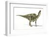 Maiasaura Dinosaur, Artwork-null-Framed Photographic Print