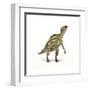 Maiasaura Dinosaur on White Background-null-Framed Art Print