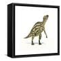 Maiasaura Dinosaur on White Background-null-Framed Stretched Canvas