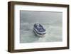 Maid of the Mist Sightseeing Boat, Niagara Falls, Ontario, Canada-Cindy Miller Hopkins-Framed Photographic Print