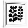 Maidenhair (black on white)-Denise Duplock-Framed Giclee Print
