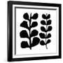 Maidenhair (black on white)-Denise Duplock-Framed Giclee Print