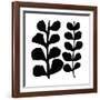 Maidenhair (black on white)-Denise Duplock-Framed Giclee Print