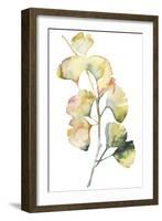 Maidenhair Branch I-null-Framed Art Print
