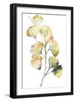 Maidenhair Branch I-null-Framed Art Print