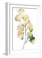 Maidenhair Branch I-null-Framed Art Print