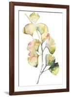 Maidenhair Branch I-null-Framed Art Print