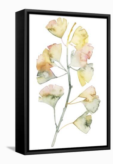 Maidenhair Branch II-null-Framed Stretched Canvas