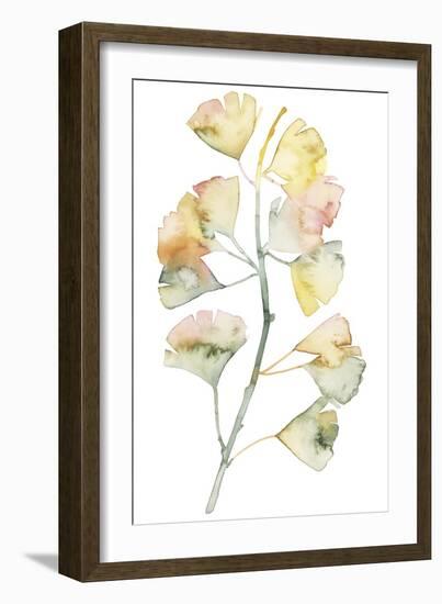 Maidenhair Branch II-null-Framed Art Print