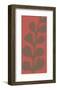 Maidenhair Coco Stem (single)-Denise Duplock-Framed Art Print