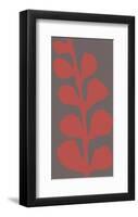 Maidenhair Coral Stem (single)-Denise Duplock-Framed Art Print