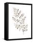 Maidenhair Fern Khaki-Mercedes Lopez Charro-Framed Stretched Canvas