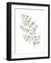 Maidenhair Fern Khaki-Mercedes Lopez Charro-Framed Art Print