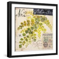 Maidenhair Fern…Sketchbook-Angela Staehling-Framed Art Print