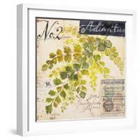 Maidenhair Fern…Sketchbook-Angela Staehling-Framed Art Print