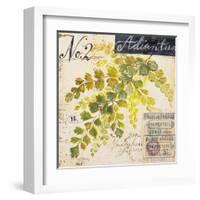 Maidenhair Fern…Sketchbook-Angela Staehling-Framed Art Print