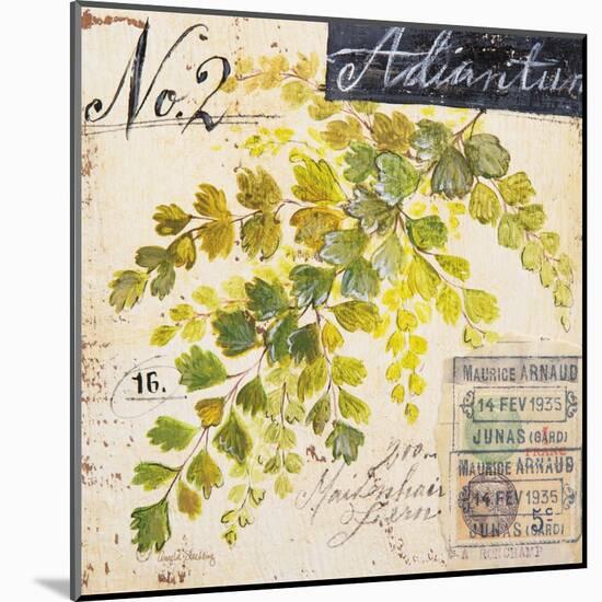 Maidenhair Fern…Sketchbook-Angela Staehling-Mounted Art Print