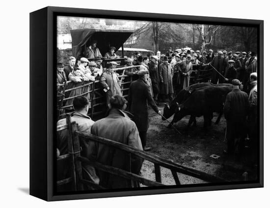 Maidstone Cattle Market-null-Framed Stretched Canvas