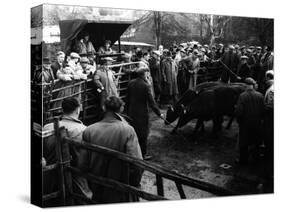 Maidstone Cattle Market-null-Stretched Canvas