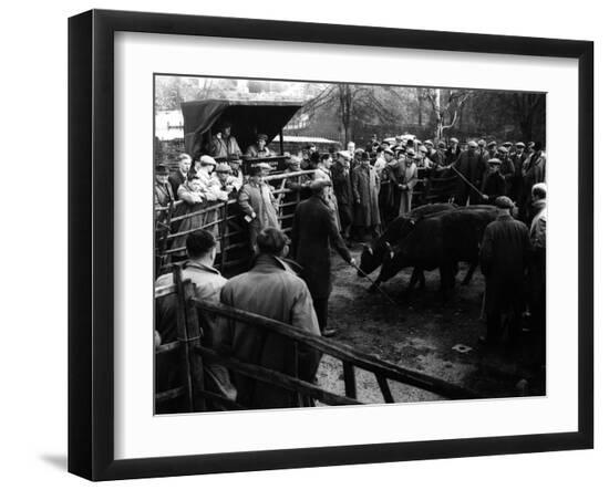 Premium Photographic Print, , large