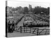 Maidstone Sheep Market-null-Stretched Canvas