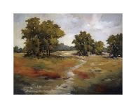 Kissimmee Grasslands-Maija Baynes-Stretched Canvas