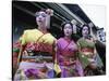 Maiko Girls, Kyoto, Japan-null-Stretched Canvas