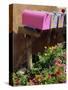 Mail Boxes, Santa Fe, New Mexico, United States of America, North America-Westwater Nedra-Stretched Canvas