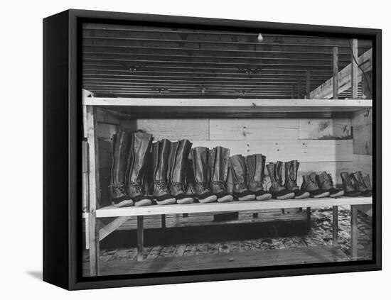 Mail Order Co. LL Bean's Famous Maine Hunting Shoes Lined Up by Size from 6 1/2 to 18 In-George Strock-Framed Stretched Canvas