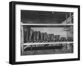 Mail Order Co. LL Bean's Famous Maine Hunting Shoes Lined Up by Size from 6 1/2 to 18 In-George Strock-Framed Photographic Print