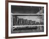 Mail Order Co. LL Bean's Famous Maine Hunting Shoes Lined Up by Size from 6 1/2 to 18 In-George Strock-Framed Photographic Print