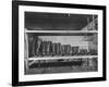 Mail Order Co. LL Bean's Famous Maine Hunting Shoes Lined Up by Size from 6 1/2 to 18 In-George Strock-Framed Photographic Print